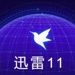 PC 迅雷11精简长期稳定版(亲测可用)顺便祝大家新年快乐