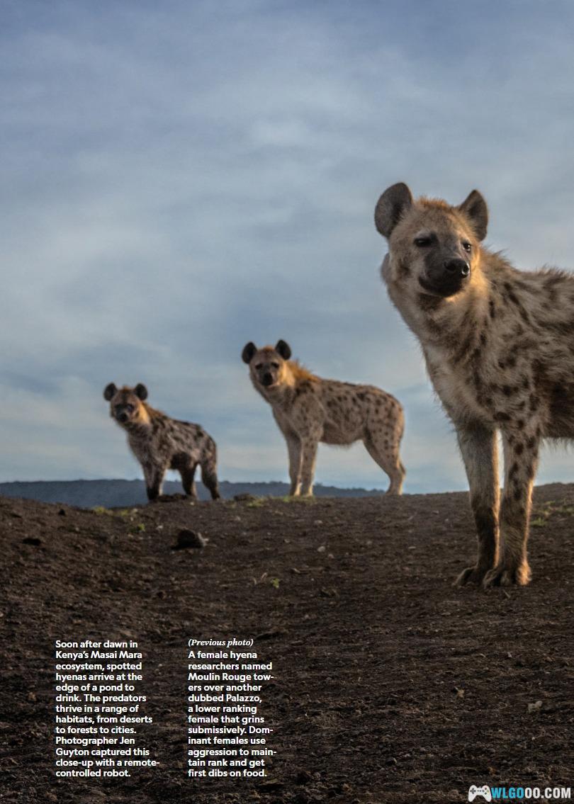 杂志《国家地理 National Geographic》2024年全刊-图片2