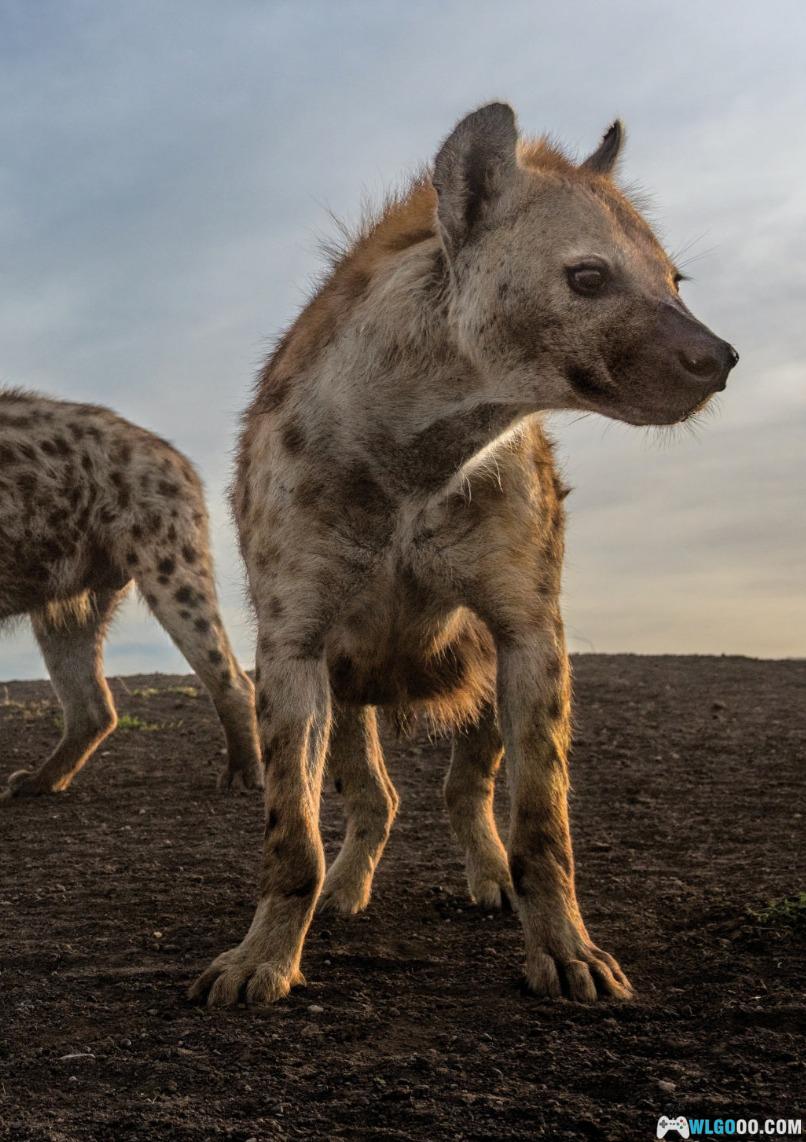杂志《国家地理 National Geographic》2024年全刊-图片3