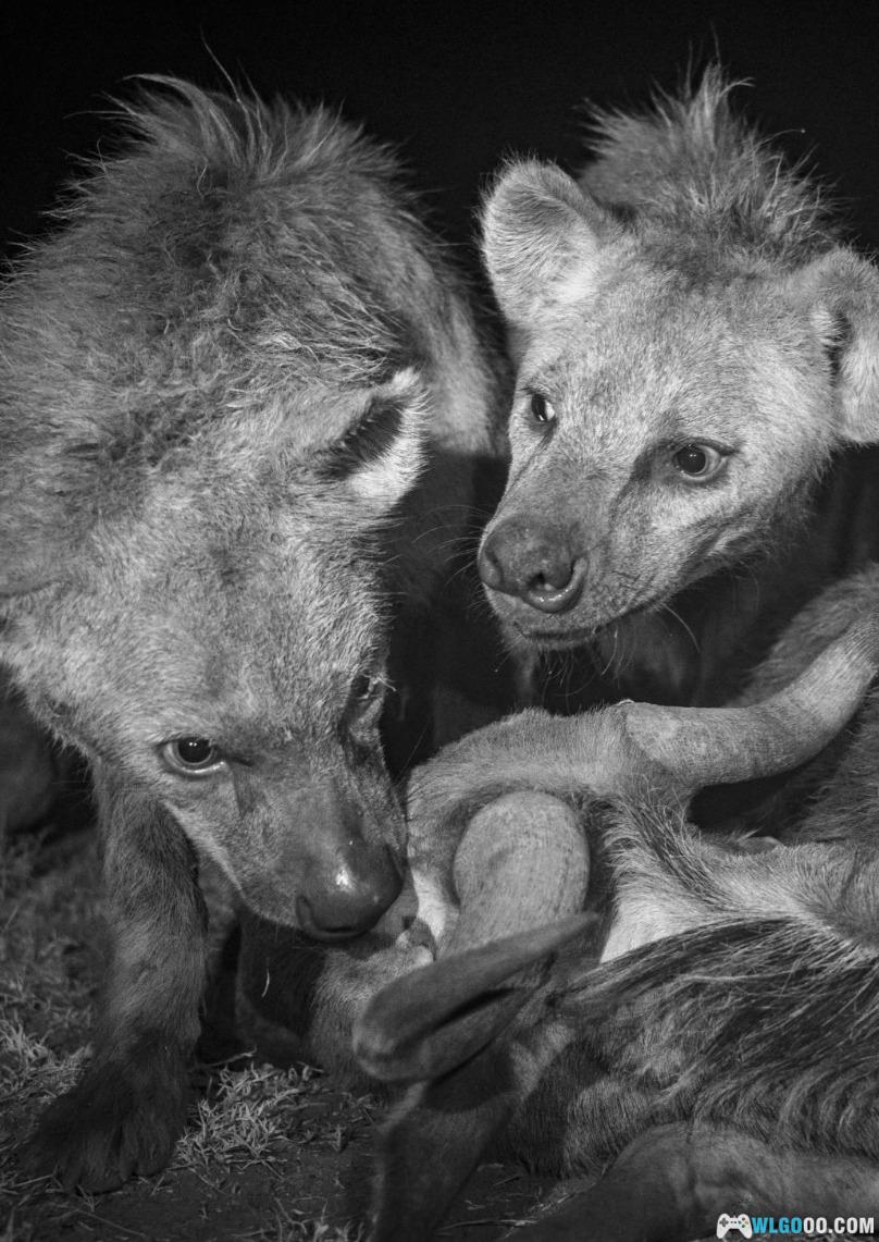 杂志《国家地理 National Geographic》2024年全刊-图片4