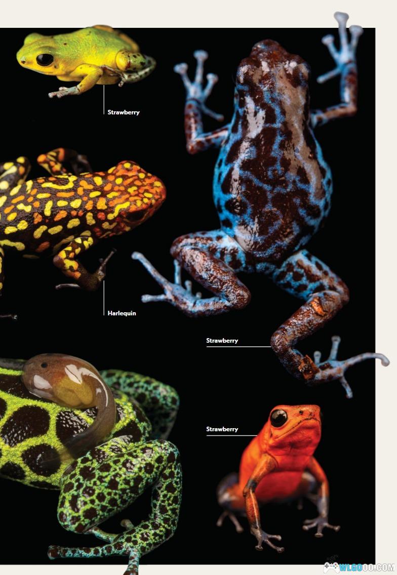 杂志《国家地理 National Geographic》2024年全刊-图片6