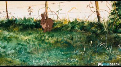 动画 沃特希普高地(1978)[英语中字] 1080P修复｜兔子的生存危机-图片3