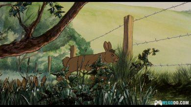 动画 沃特希普高地(1978)[英语中字] 1080P修复｜兔子的生存危机-图片11