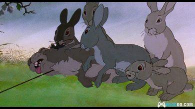 动画 沃特希普高地(1978)[英语中字] 1080P修复｜兔子的生存危机-图片8