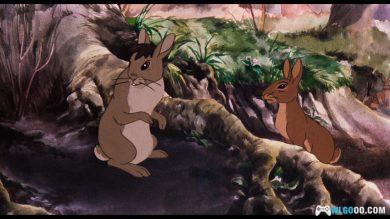 动画 沃特希普高地(1978)[英语中字] 1080P修复｜兔子的生存危机-图片4