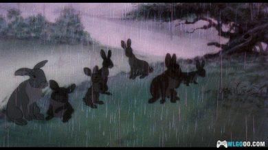 动画 沃特希普高地(1978)[英语中字] 1080P修复｜兔子的生存危机-图片6