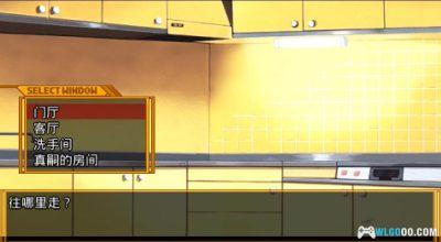 PSP新世纪福音战士：钢铁的女朋友2ND[重置汉化]｜中文攻略-2025.2.26发布-图片12