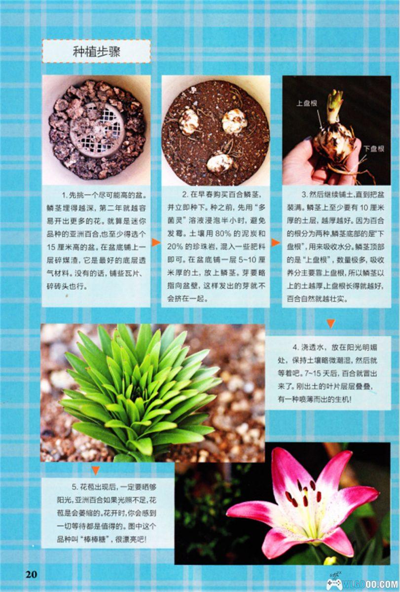 杂志 博物2016-2021 全集PDF｜青少年知识科普-图片5