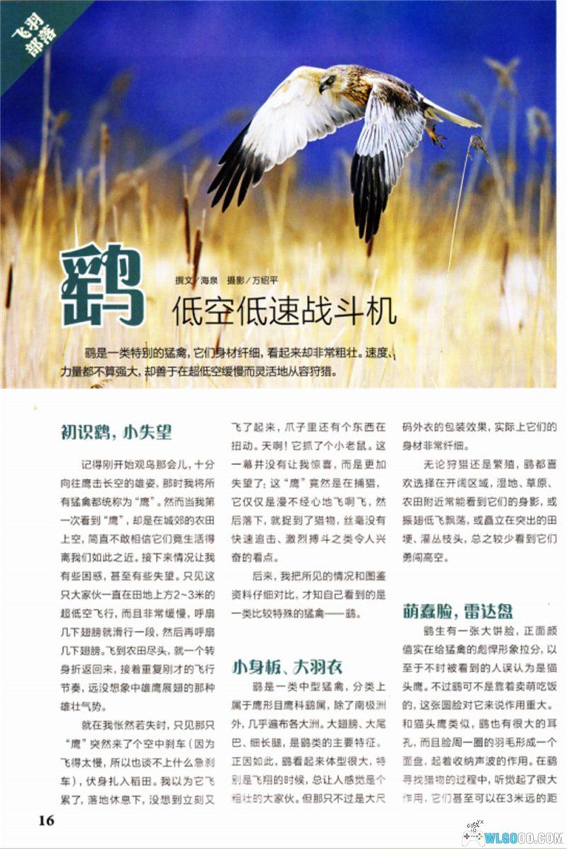 杂志 博物2016-2021 全集PDF｜青少年知识科普-图片4