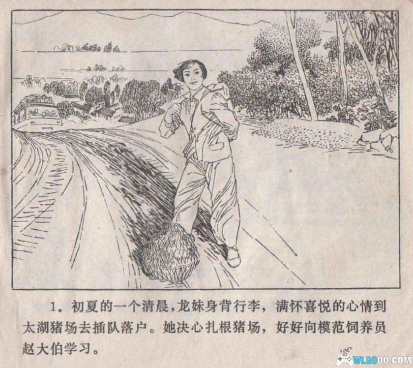 连环画 阿菊 HD版[1卷][1976年]－杨雨青-图片2