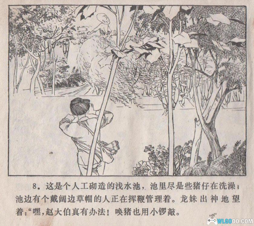 连环画 阿菊 HD版[1卷][1976年]－杨雨青-图片9