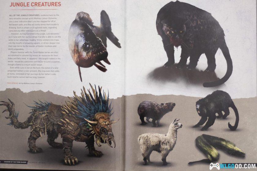 PC古墓丽影：暗影 最终版v1.0.492[中文] 全DLC｜修改器+官方艺术集-图片14