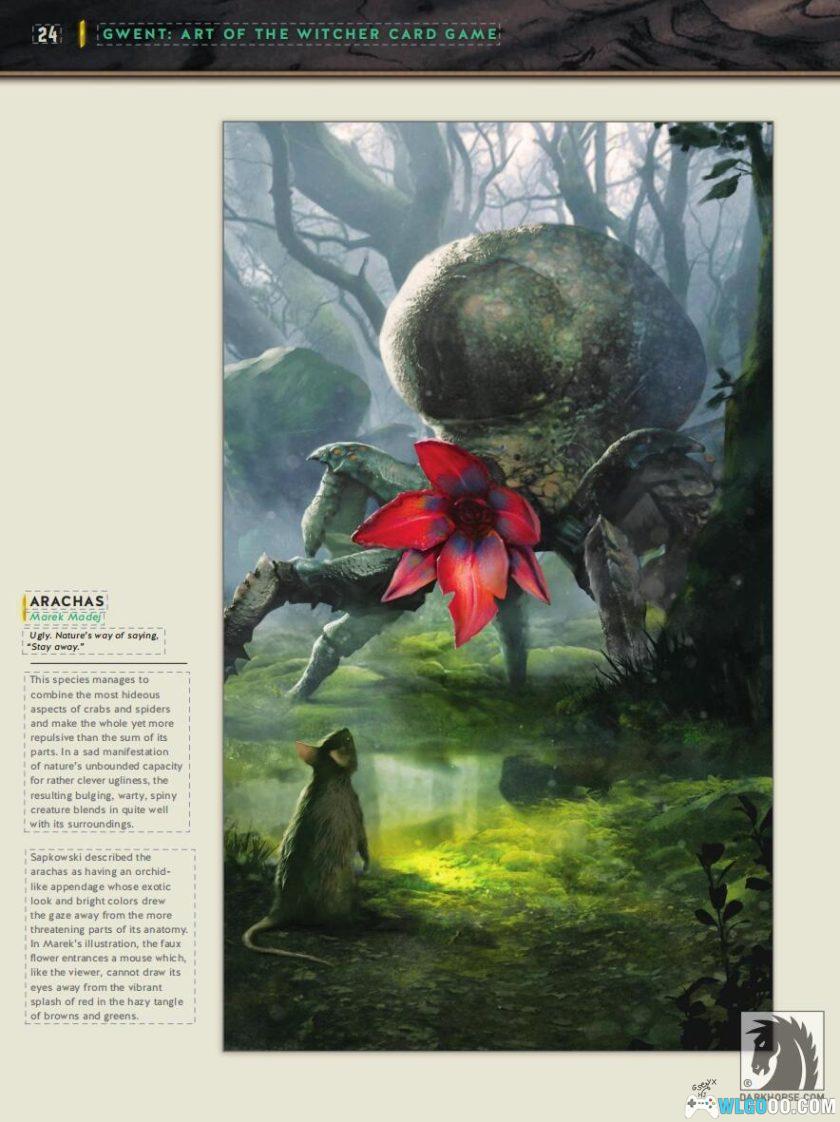 PC巫师之昆特牌：王权的陨落v1.0.2.12[中文配音]｜艺术设定集+概念集-图片16