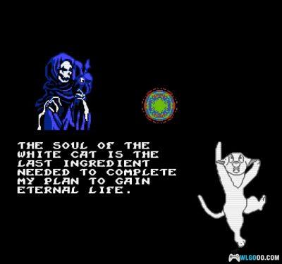 FC Catventure：红猫任务-2025.5.2发布-图片3