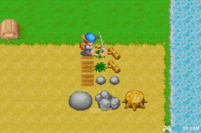 GBA牧场物语：矿石镇的伙伴们[中文Hack]－动物不死版本-图片7