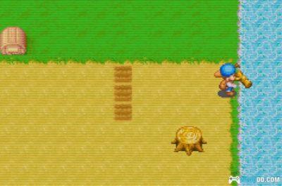 GBA牧场物语：矿石镇的伙伴们[中文Hack]－动物不死版本-图片9
