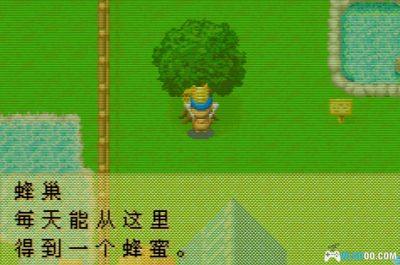 GBA牧场物语：矿石镇的伙伴们[中文Hack]－动物不死版本-图片10
