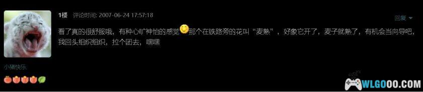 《巫师3》今年10岁了，写一写我痴迷它的近200小时-图片30