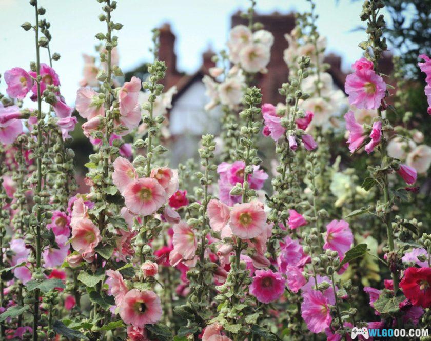 《巫师3》今年10岁了，写一写我痴迷它的近200小时-图片31