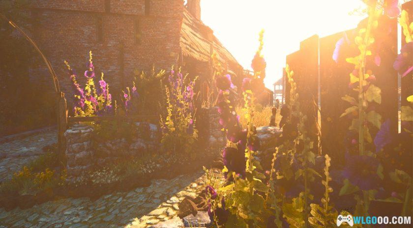 《巫师3》今年10岁了，写一写我痴迷它的近200小时-图片32