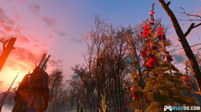 《巫师3》今年10岁了，写一写我痴迷它的近200小时-图片34