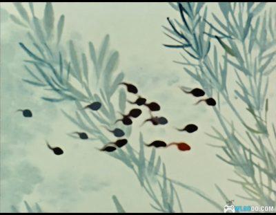 动画 小蝌蚪找妈妈(1960)[国语配音]｜4K修复版-图片9