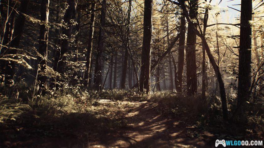 PC布莱尔女巫[中文版]｜设定画集+音乐，恐怖游戏-图片4