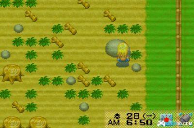 GBA牧场物语：矿石镇 女孩版[中文Hack]－2019道具修改版+超越联机-图片11