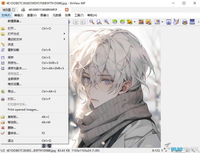 XnView MP 1.9.3.0|PC图片浏览管理工具-图片7