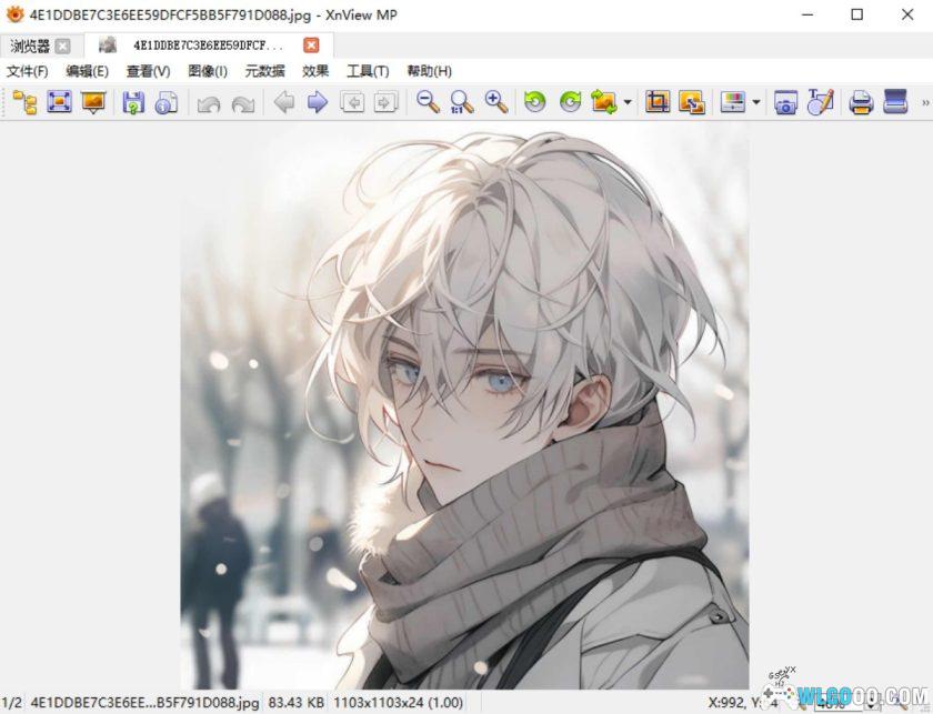 XnView MP 1.9.3.0|PC图片浏览管理工具-图片4