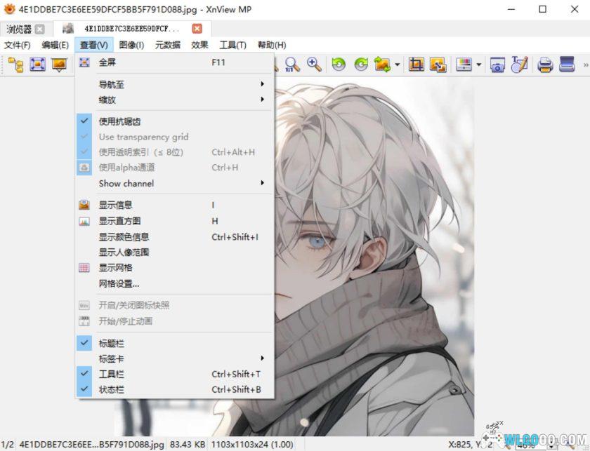 XnView MP 1.9.3.0|PC图片浏览管理工具-图片6