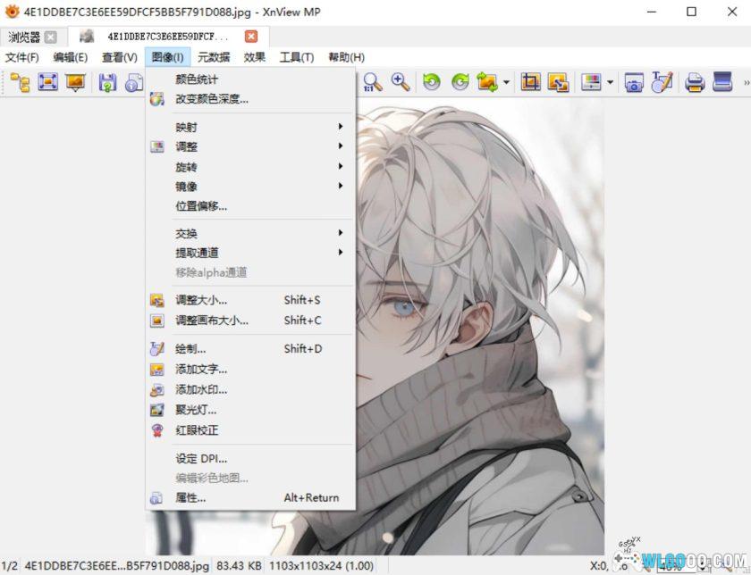 XnView MP 1.9.3.0|PC图片浏览管理工具-图片5