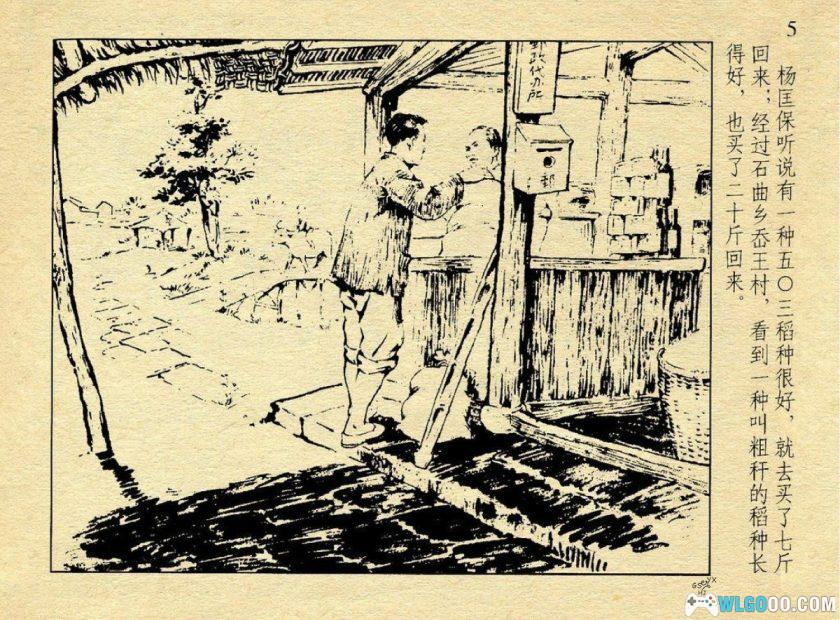 连环画 种子状元[1卷][1958年]－人美版，农业故事-图片6