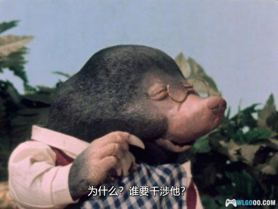 动画 柳林风声(1983)[中文字幕]｜1080P，定格动画名作-图片8