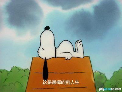 动画 你是个好人，查理·布朗(1985)[中英双字]｜1080P-图片8