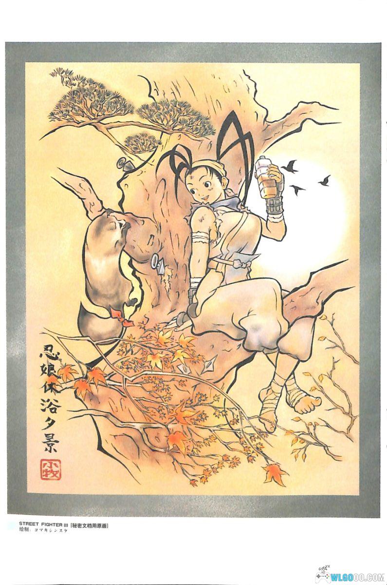 街霸15周年珍藏画册｜游戏人赠刊，官方原画-图片8