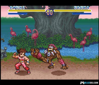 SFC SD飞龙之拳[Hack][3DS]－出招简化+秘籍-图片11