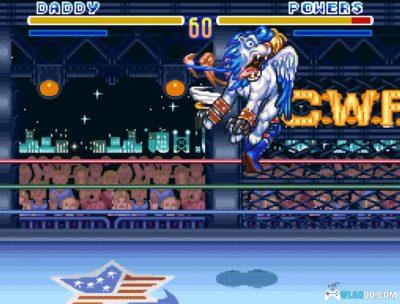 SFC SD飞龙之拳[Hack][3DS]－出招简化+秘籍-图片4