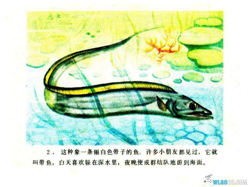 连环画 你认识吗？-海鱼[1984年]-全彩教育向画册-图片3