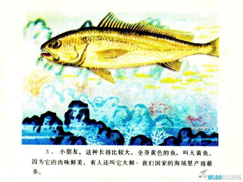 连环画 你认识吗？-海鱼[1984年]-全彩教育向画册-图片4
