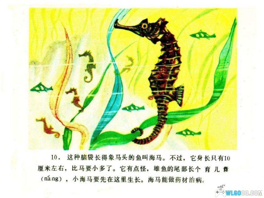 连环画 你认识吗？-海鱼[1984年]-全彩教育向画册-图片11