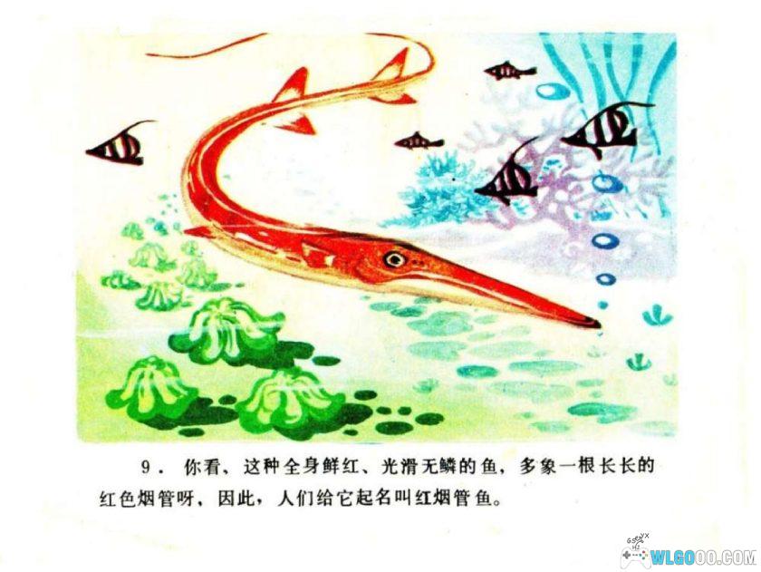 连环画 你认识吗？-海鱼[1984年]-全彩教育向画册-图片10
