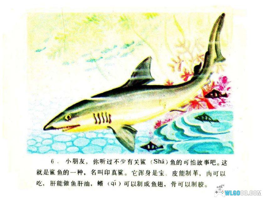 连环画 你认识吗？-海鱼[1984年]-全彩教育向画册-图片7