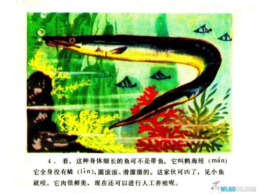 连环画 你认识吗？-海鱼[1984年]-全彩教育向画册-图片5