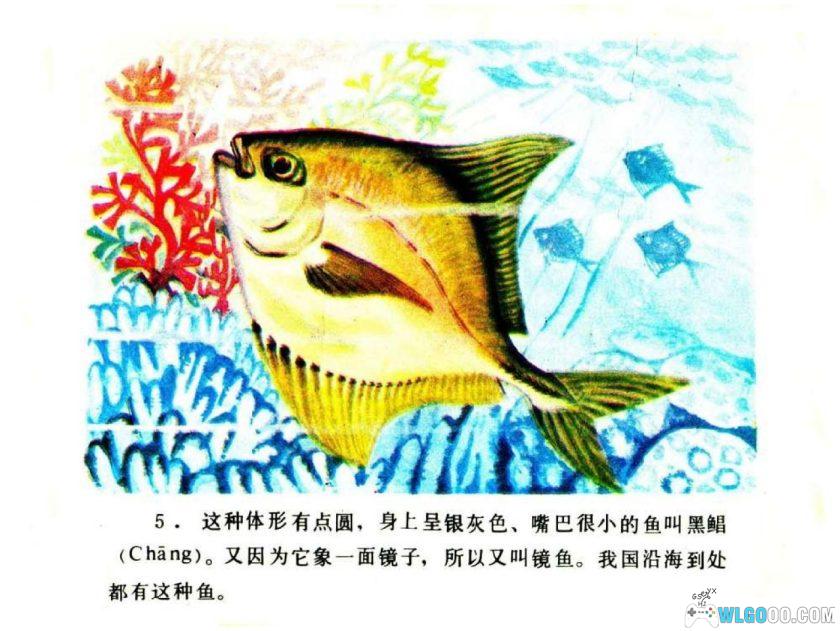 连环画 你认识吗？-海鱼[1984年]-全彩教育向画册-图片6