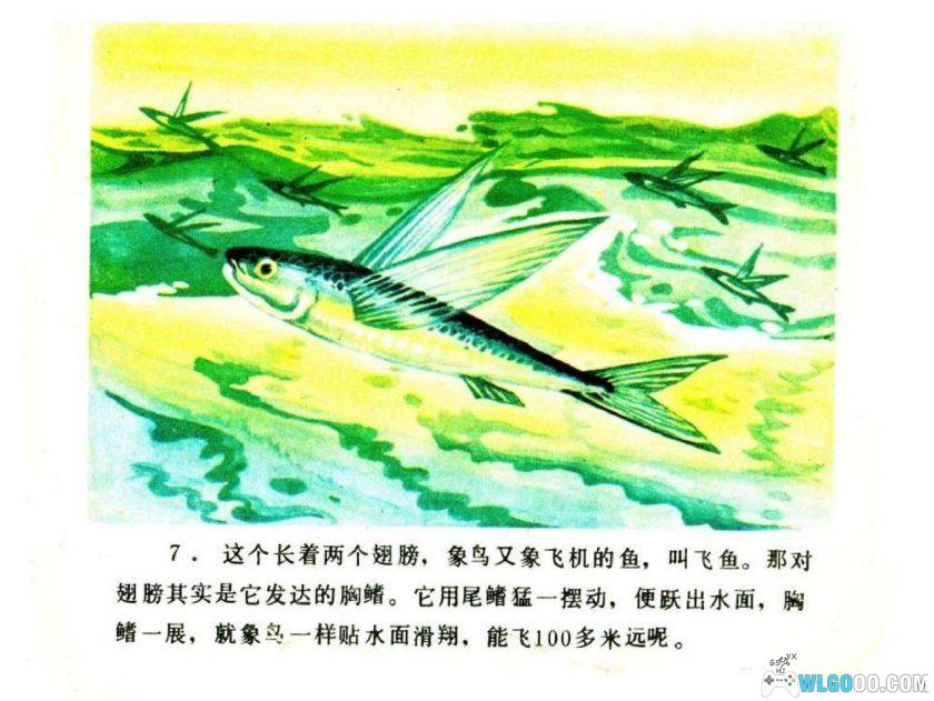 连环画 你认识吗？-海鱼[1984年]-全彩教育向画册-图片8