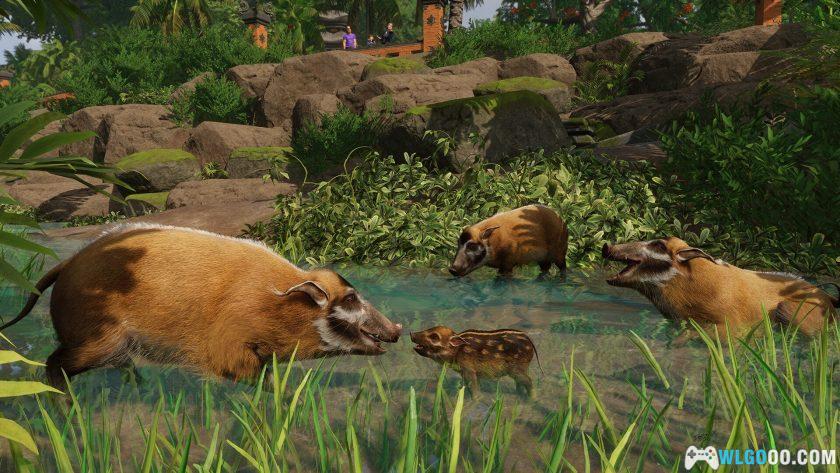 PC动物园之星 v1.2.5[全DLC]｜写实的动物世界-图片4