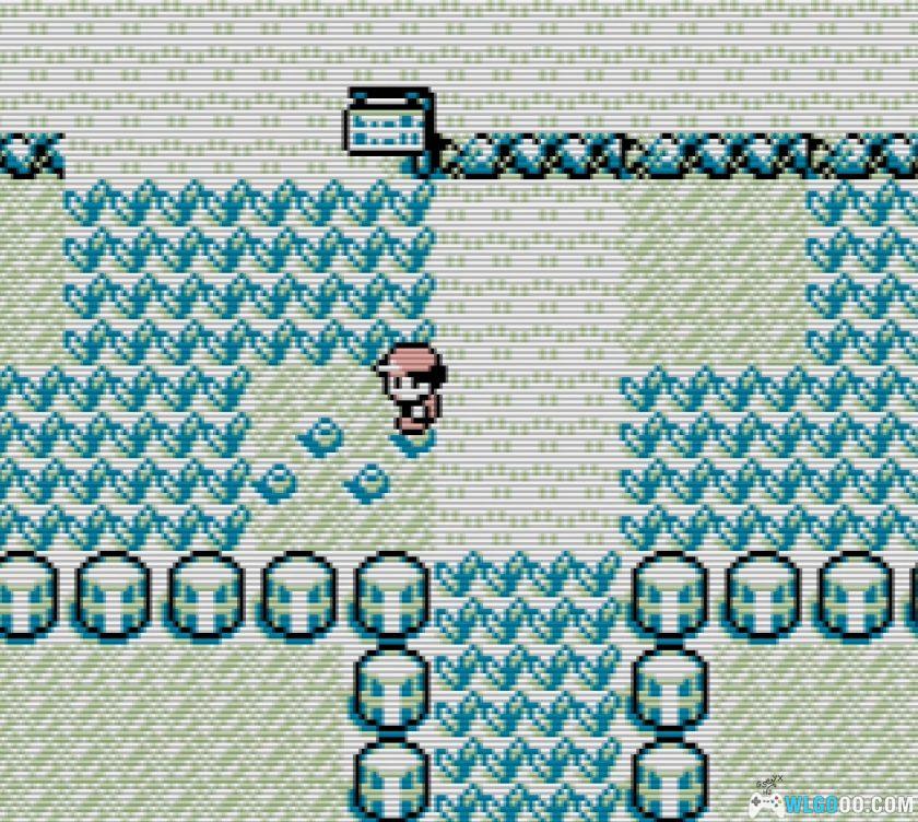 GB精灵宝可梦：红&绿&蓝&皮卡丘[国际版1.2汉化]｜金手指-2025.10.1更新-图片13