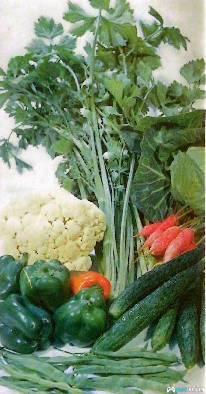 绘本与回忆-40多年前科普画书对家电的展望-图片22