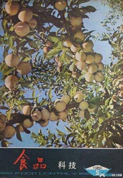 《食品科技》80年代美食杂志与童年食粮-图片80